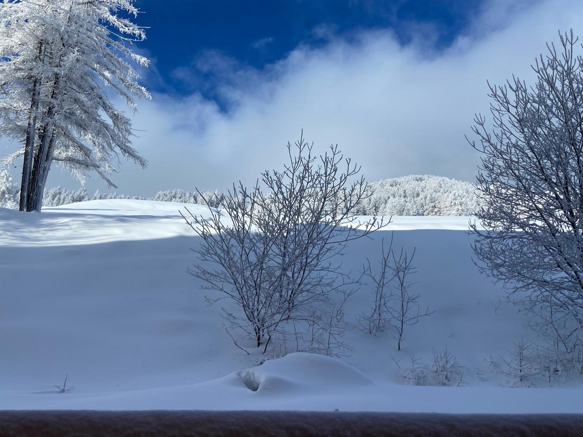 Pied Des Pistes, 2 Pieces, 6Pers, Piscine Et Sauna 里苏尔 外观 照片